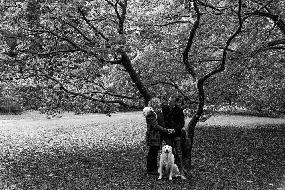 PreWedding - Westonbirt Arboretum-3.jpg