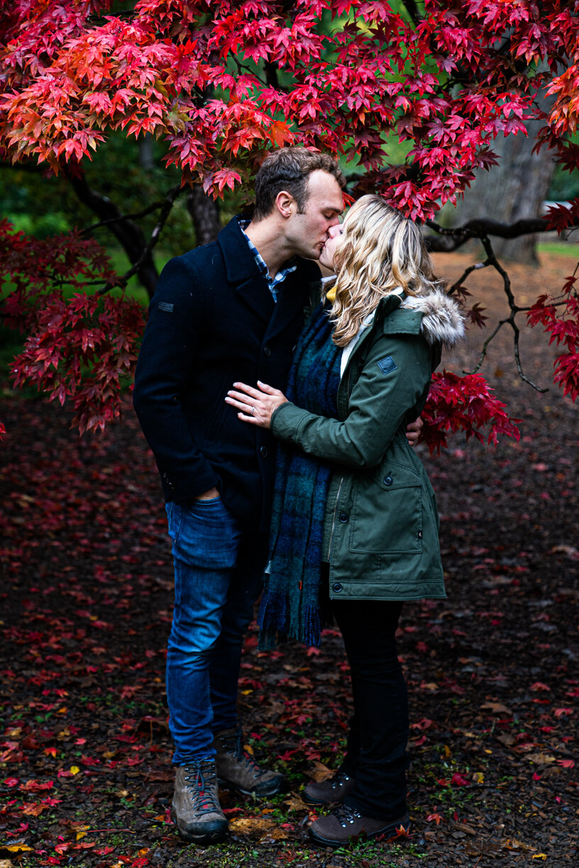 PreWedding - Westonbirt Arboretum-8.jpg