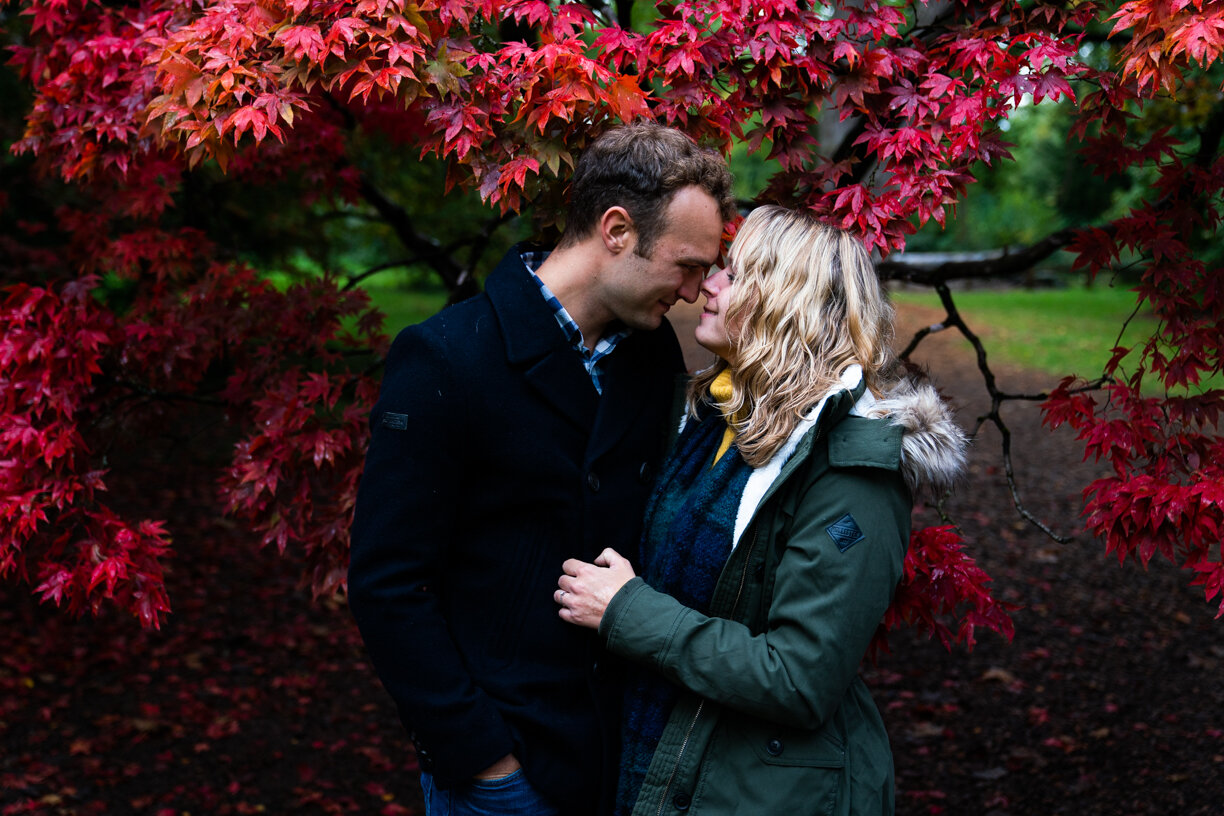 PreWedding - Westonbirt Arboretum-9.jpg