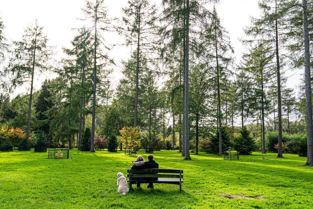 PreWedding - Westonbirt Arboretum-22.jpg