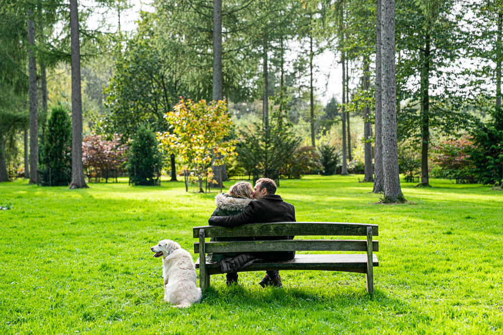 PreWedding - Westonbirt Arboretum-23.jpg