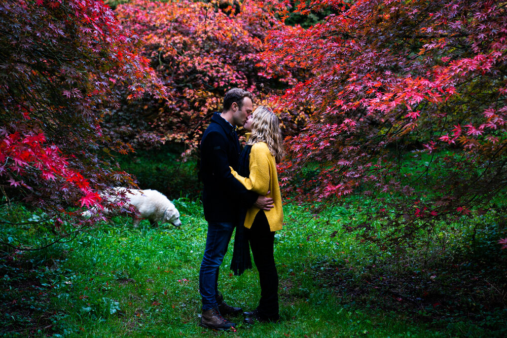 PreWedding - Westonbirt Arboretum-24.jpg