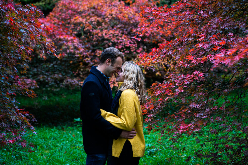 PreWedding - Westonbirt Arboretum-26.jpg