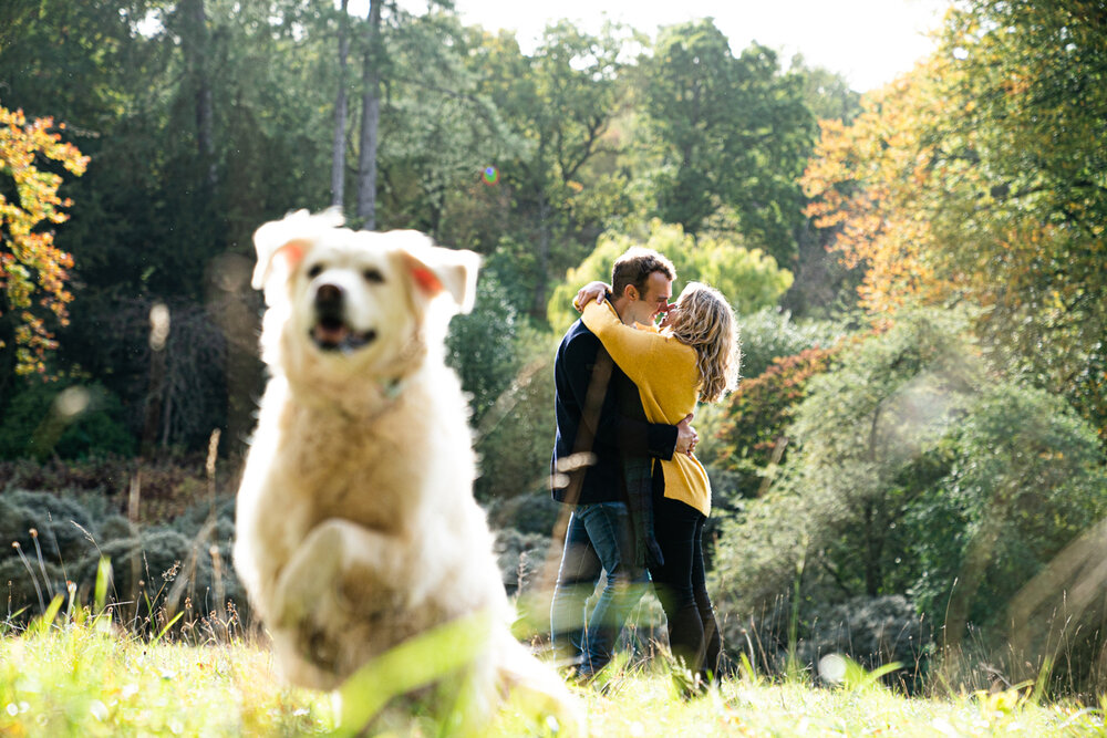 PreWedding - Westonbirt Arboretum-44.jpg