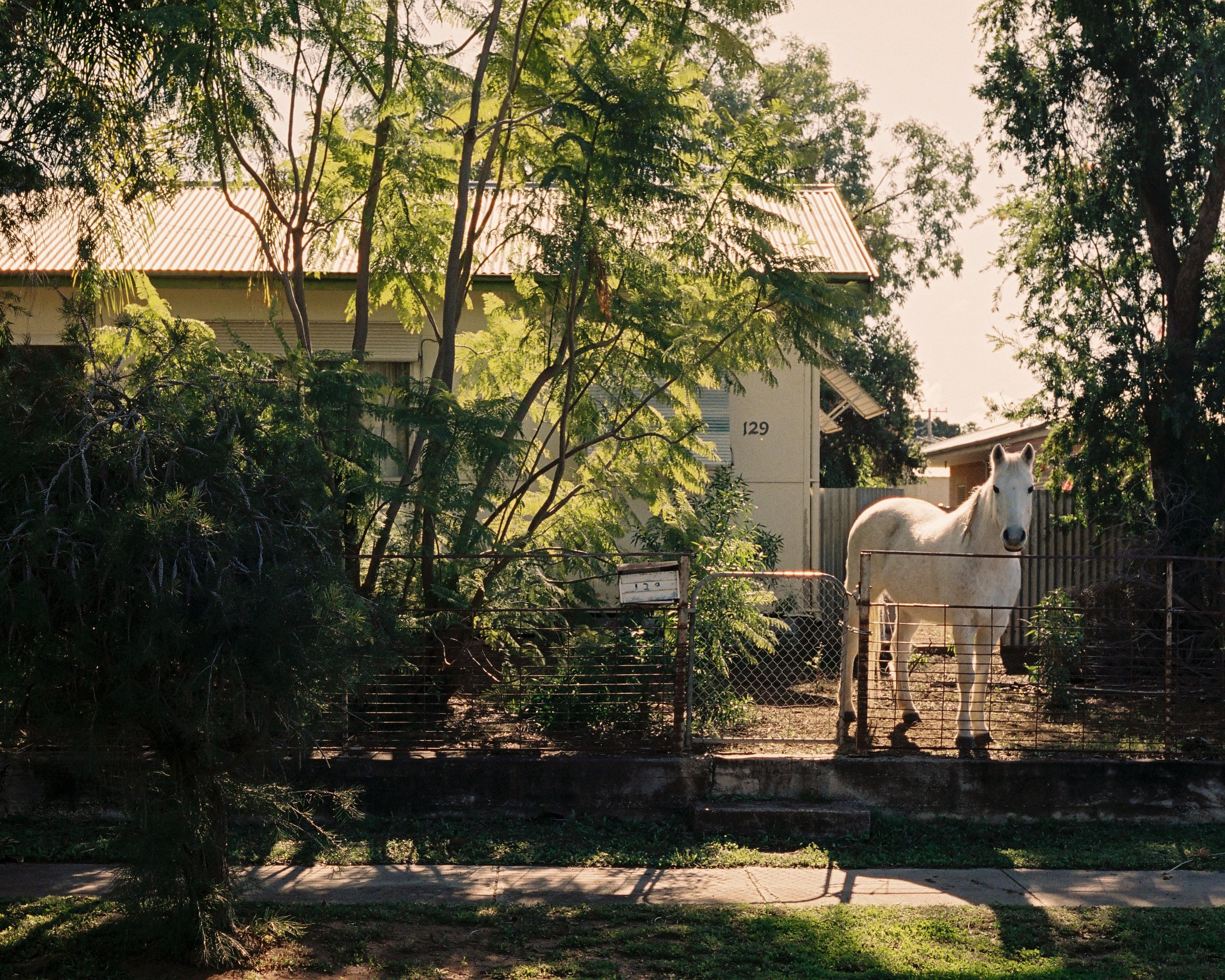 OUTBACK-35Film-75crop.jpg