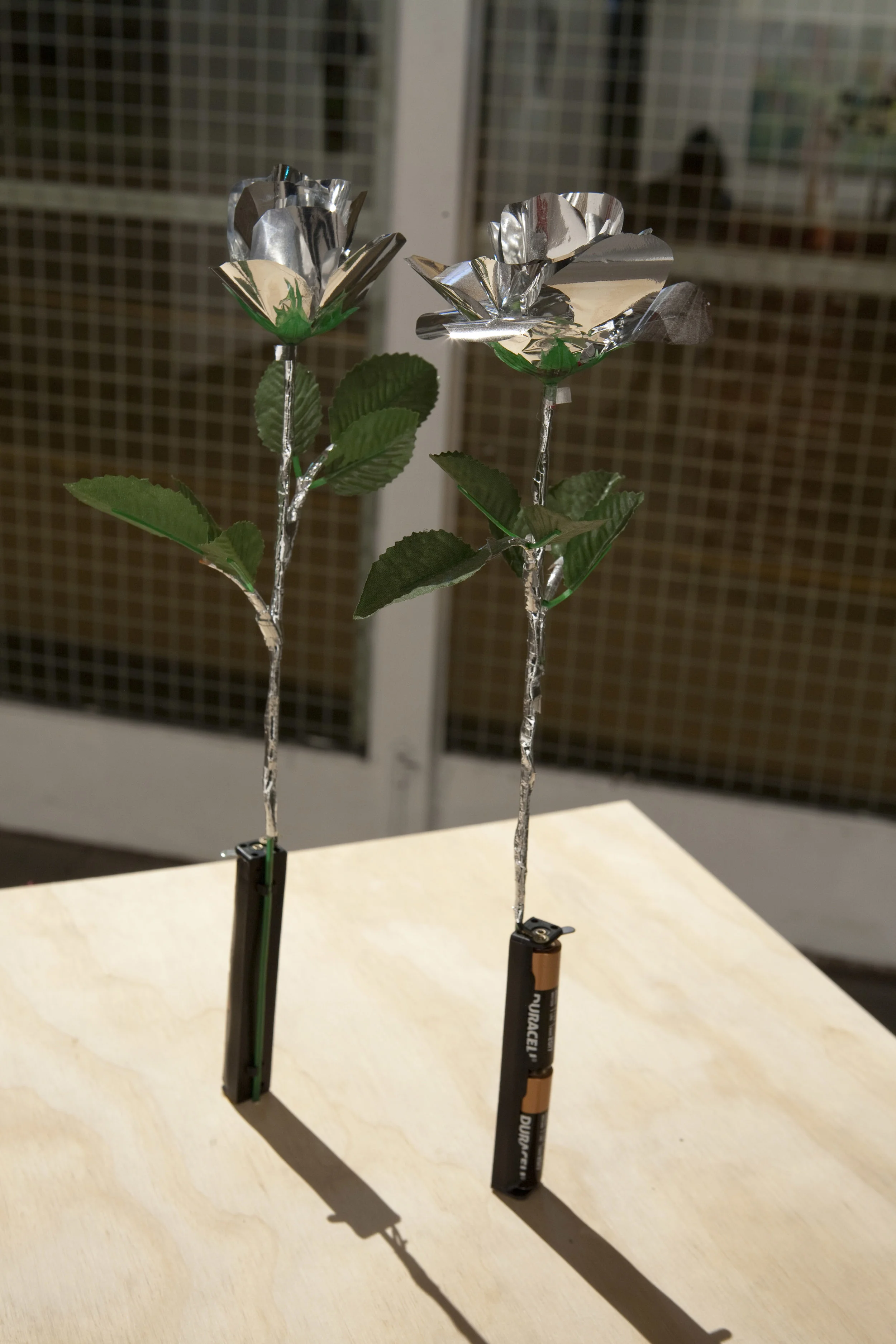 He proposed with a rose , 2011, modified electronic rose light, installation view, M.O.M. (Muse of Manila) , 2011, Firstdraft, Sydney. Photo: Charles Dennington. Copyright JD Reforma