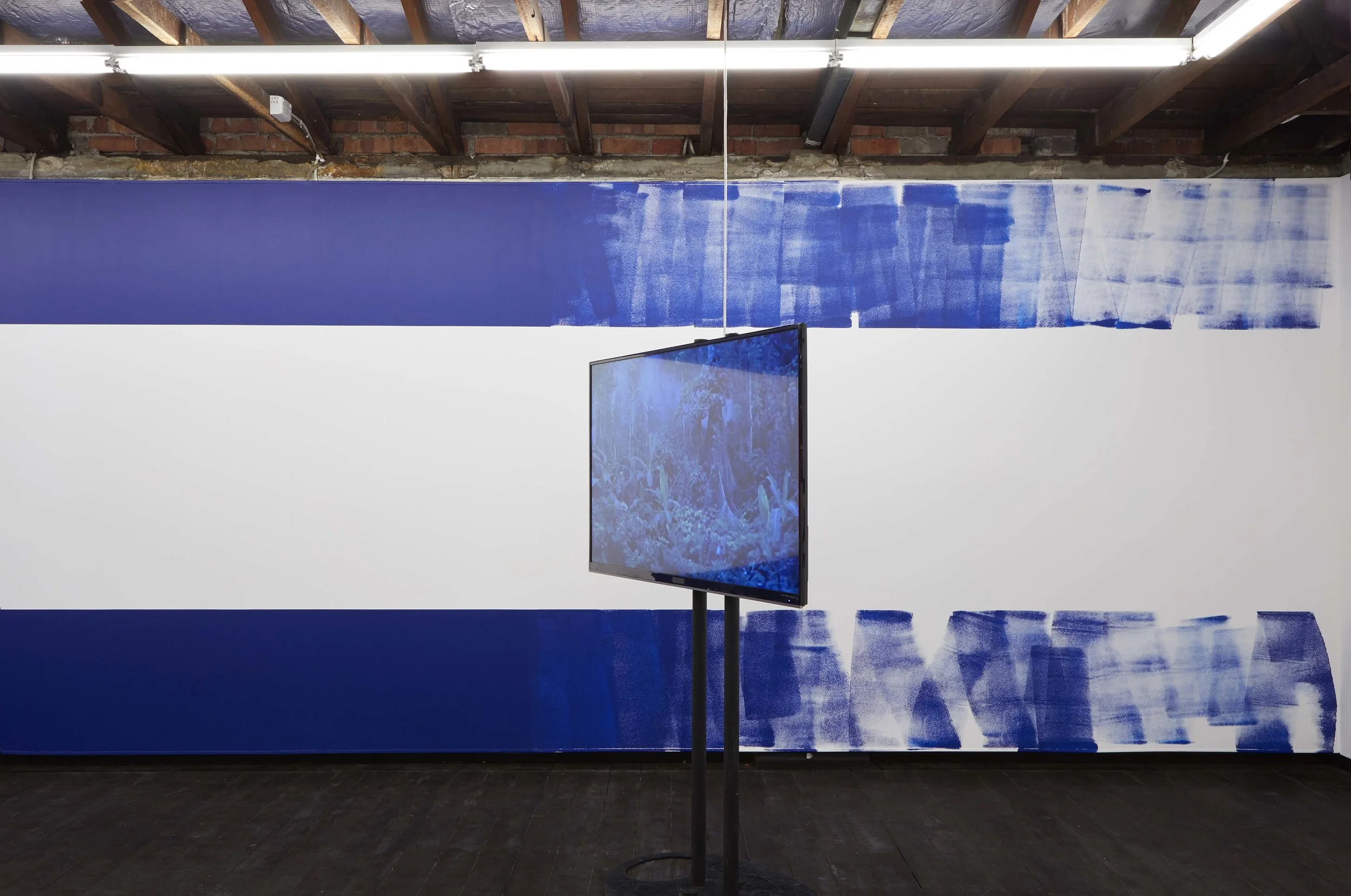 Coconut Republic , 2017, single-channel video with sound, 8 minutes 32 seconds, installation view, Coconut Republic , Firstdraft, Sydney. Editor: Kate Blackmore. Photo: Zan Wimberley. Copyright JD Reforma
