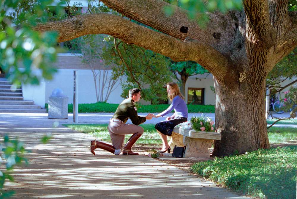 What is the Century Tree?