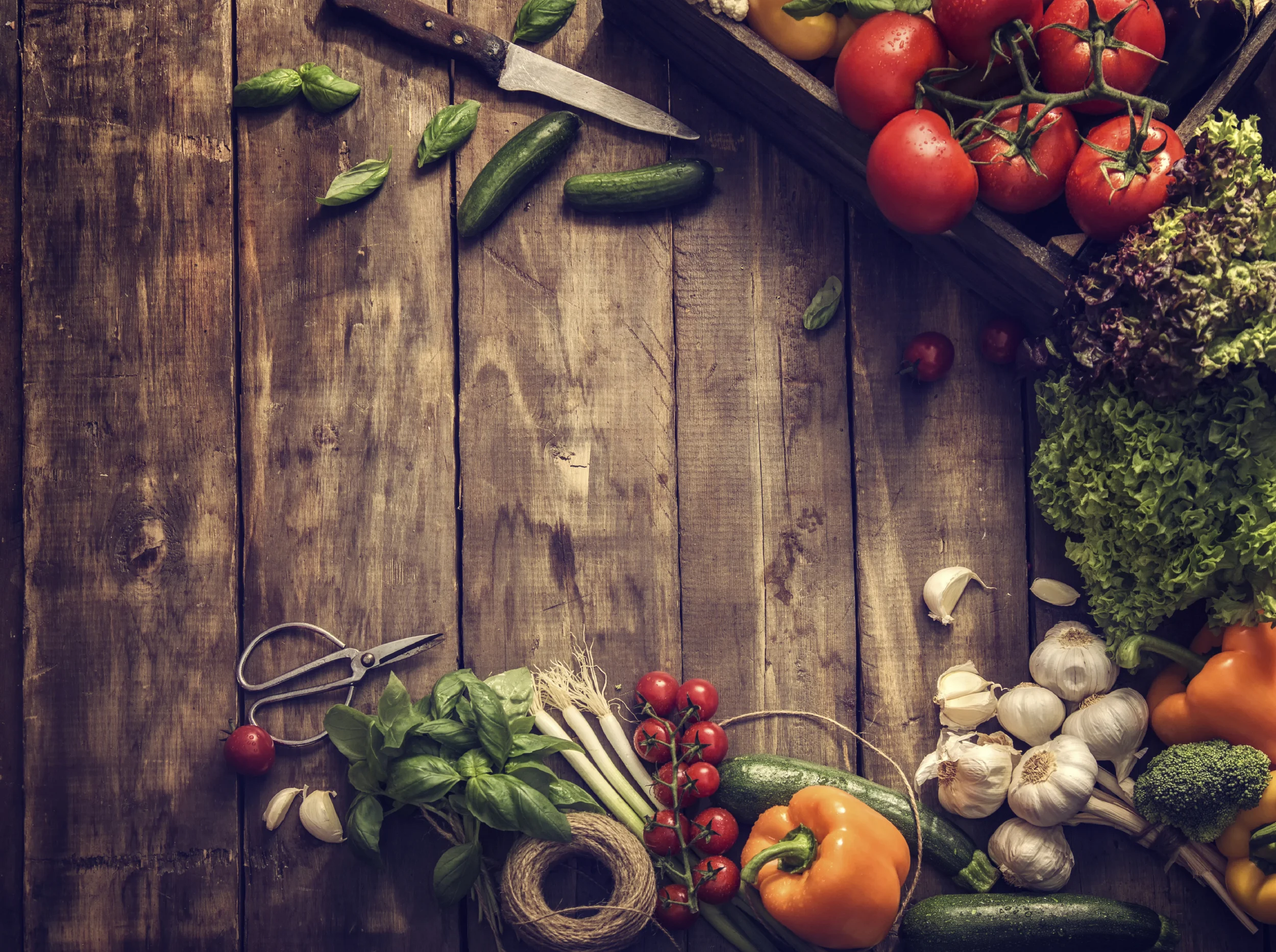 iStock_000045584178_Large.jpg