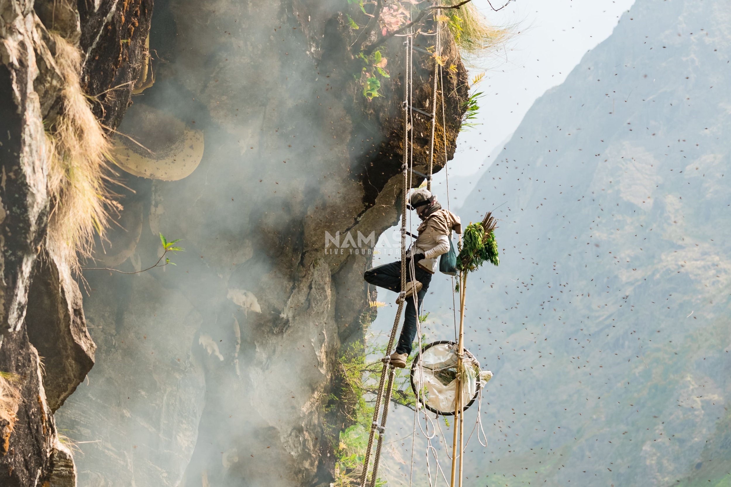Honey hunter - mad honey experience-28.jpg