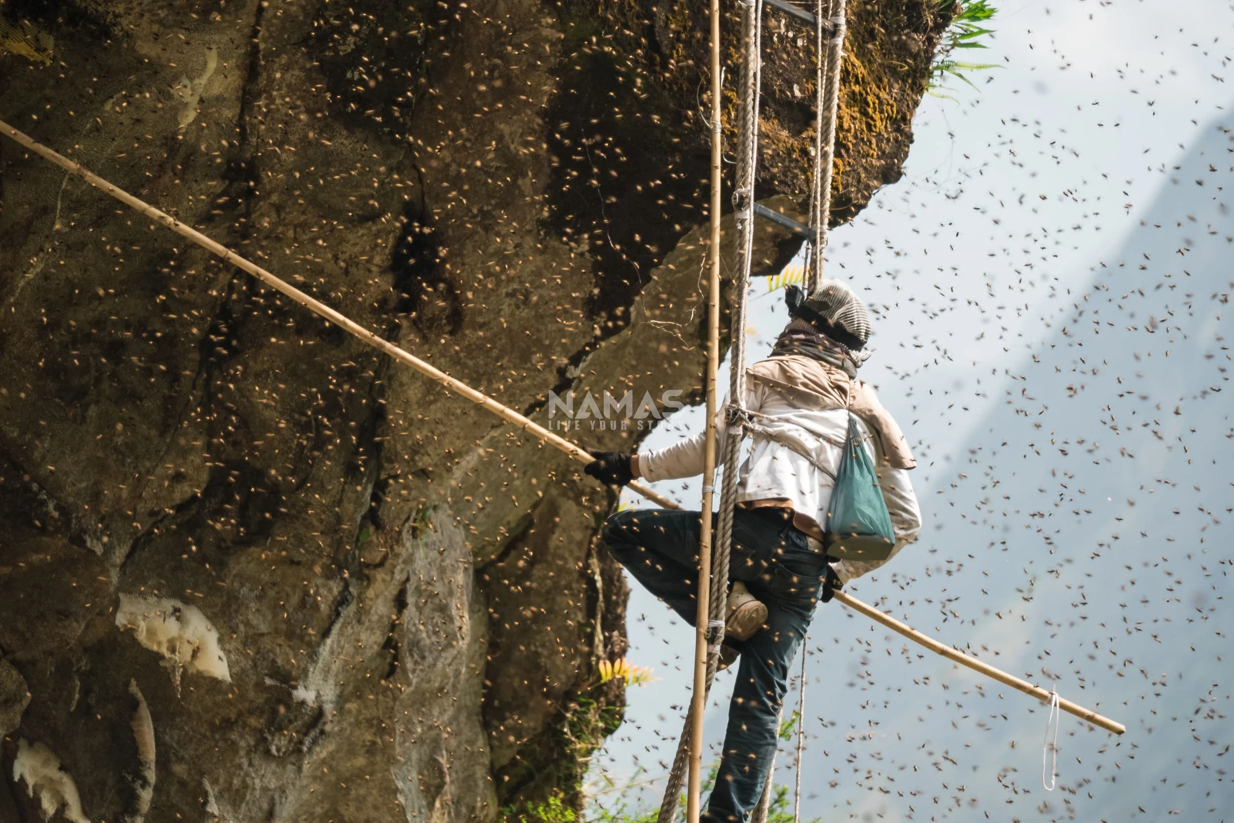 Honey hunter - mad honey experience-15.jpg