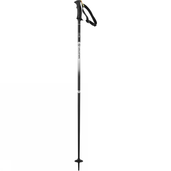 Trekking pole