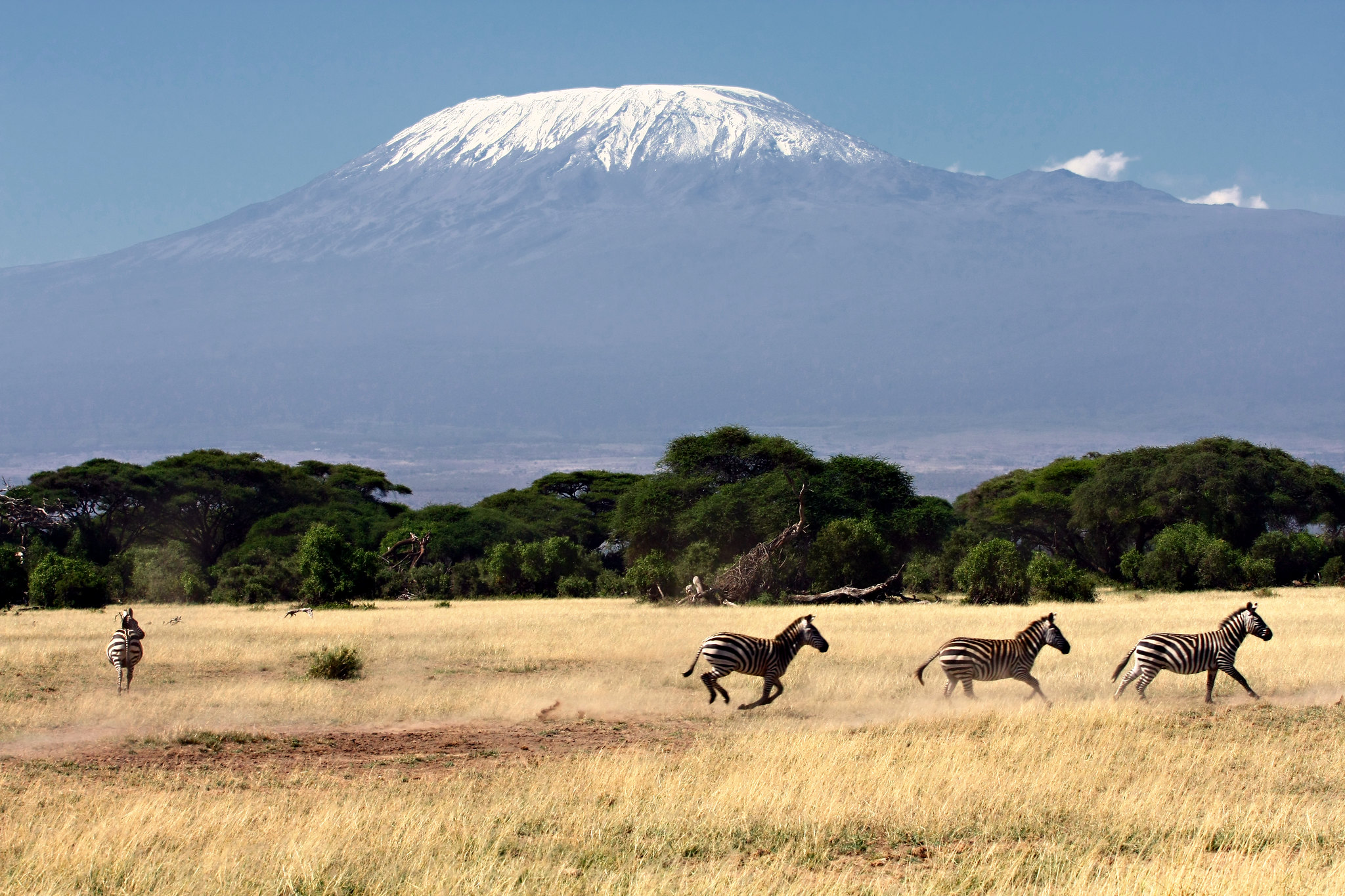 Национальный парк каким названием есть в африке. Танзания Килиманджаро. Вулкан Килиманджаро. Танзания гора Килиманджаро. Килиманджаро вулкан Кении.