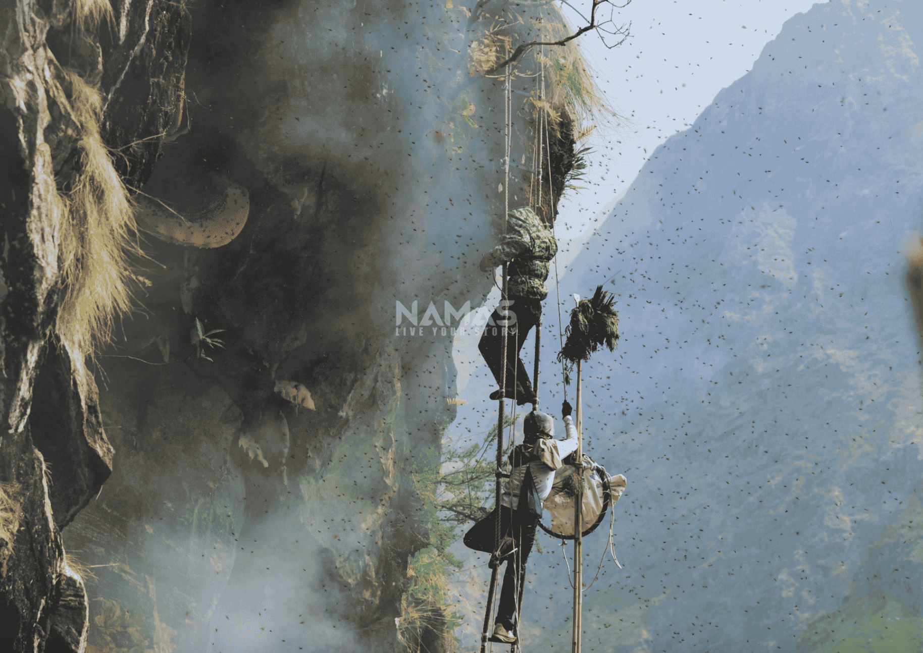 Complete Guide to the World's Most Dangerous Honey Harvest