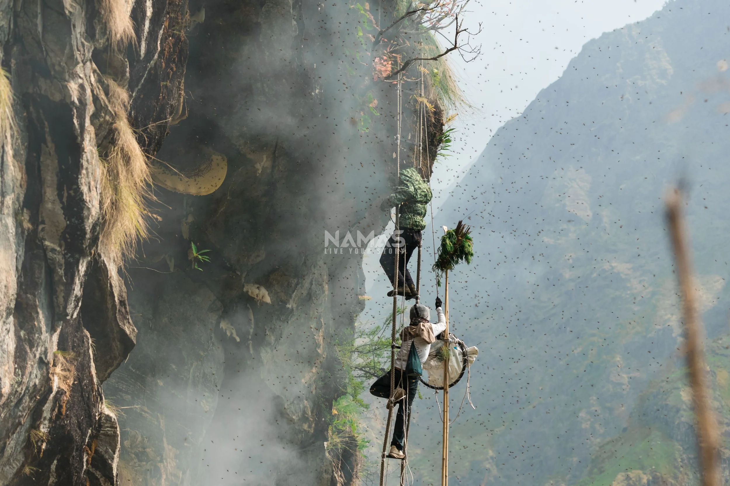 Honey hunter - mad honey experience-34.jpg