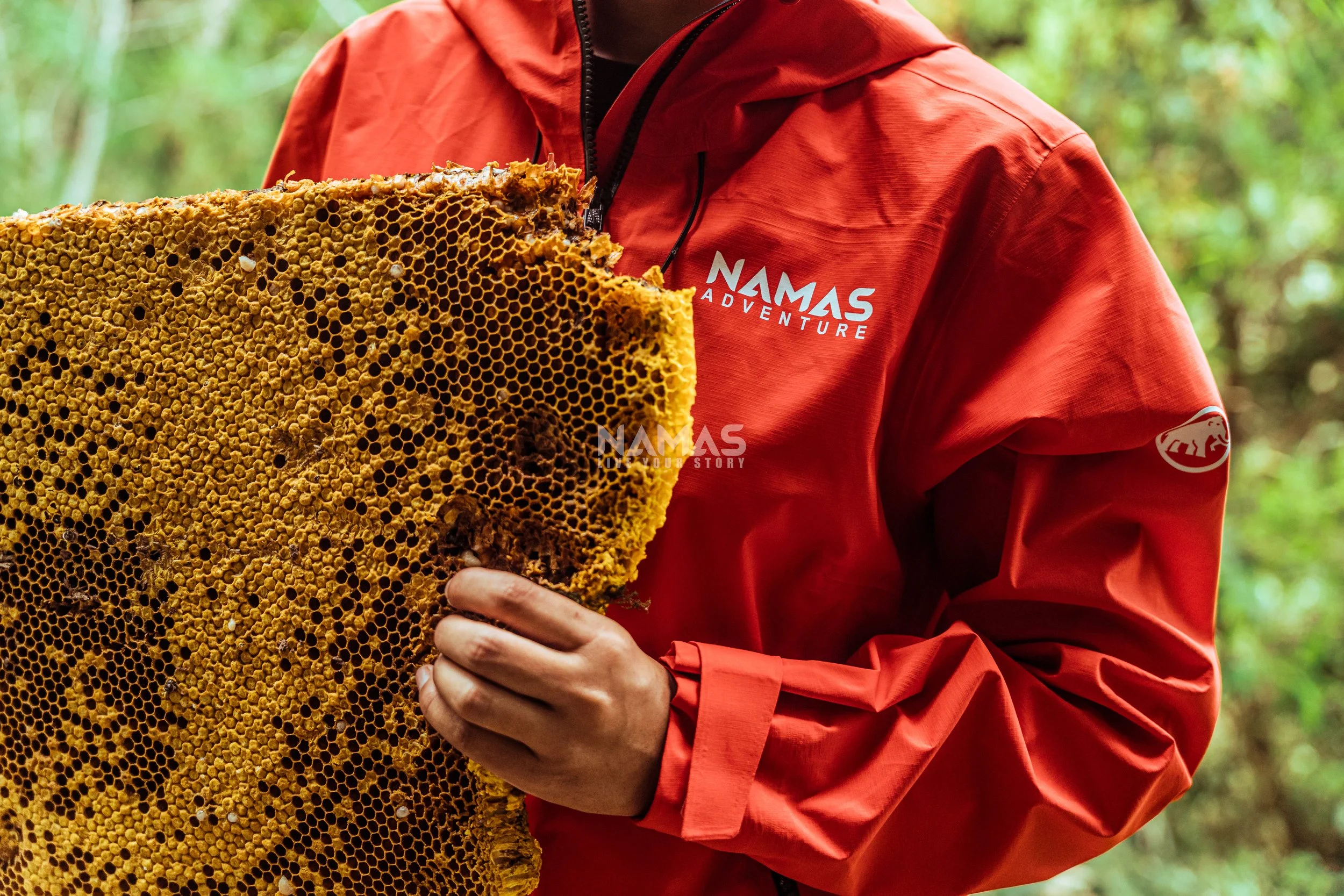 Honey hunter - mad honey experience-52.jpg
