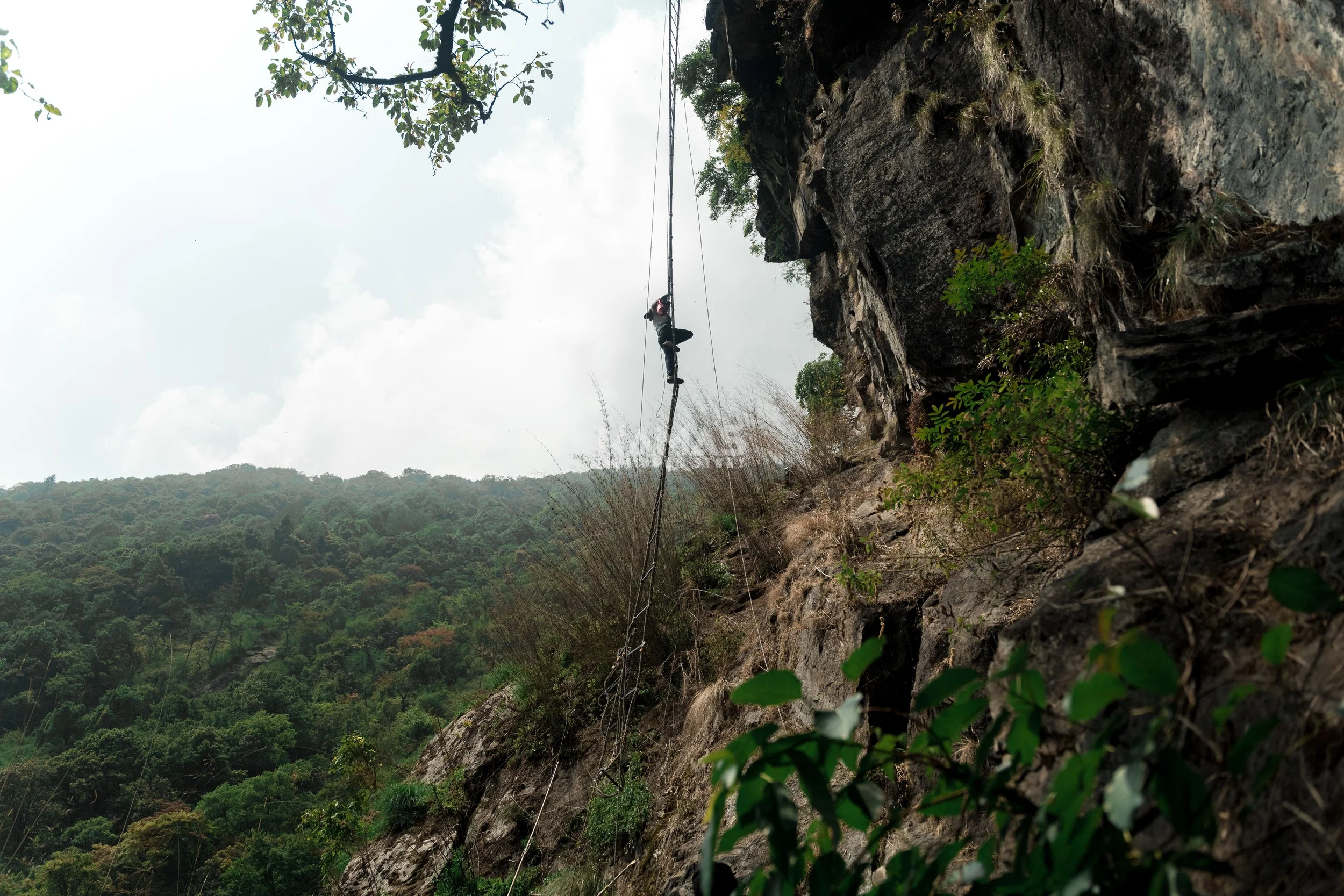 Honey hunter - mad honey experience-60.jpg