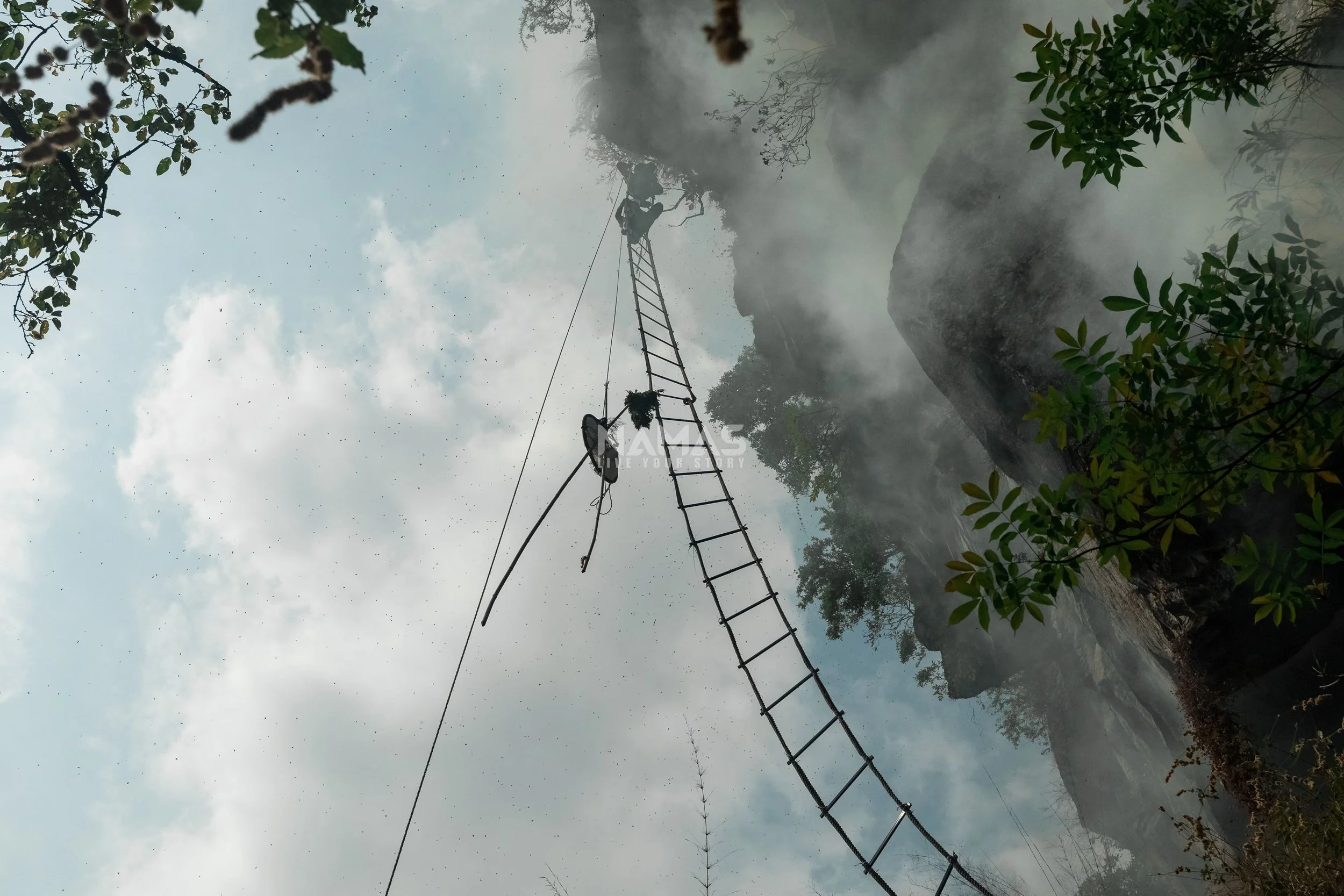 Honey hunter - mad honey experience-74.jpg