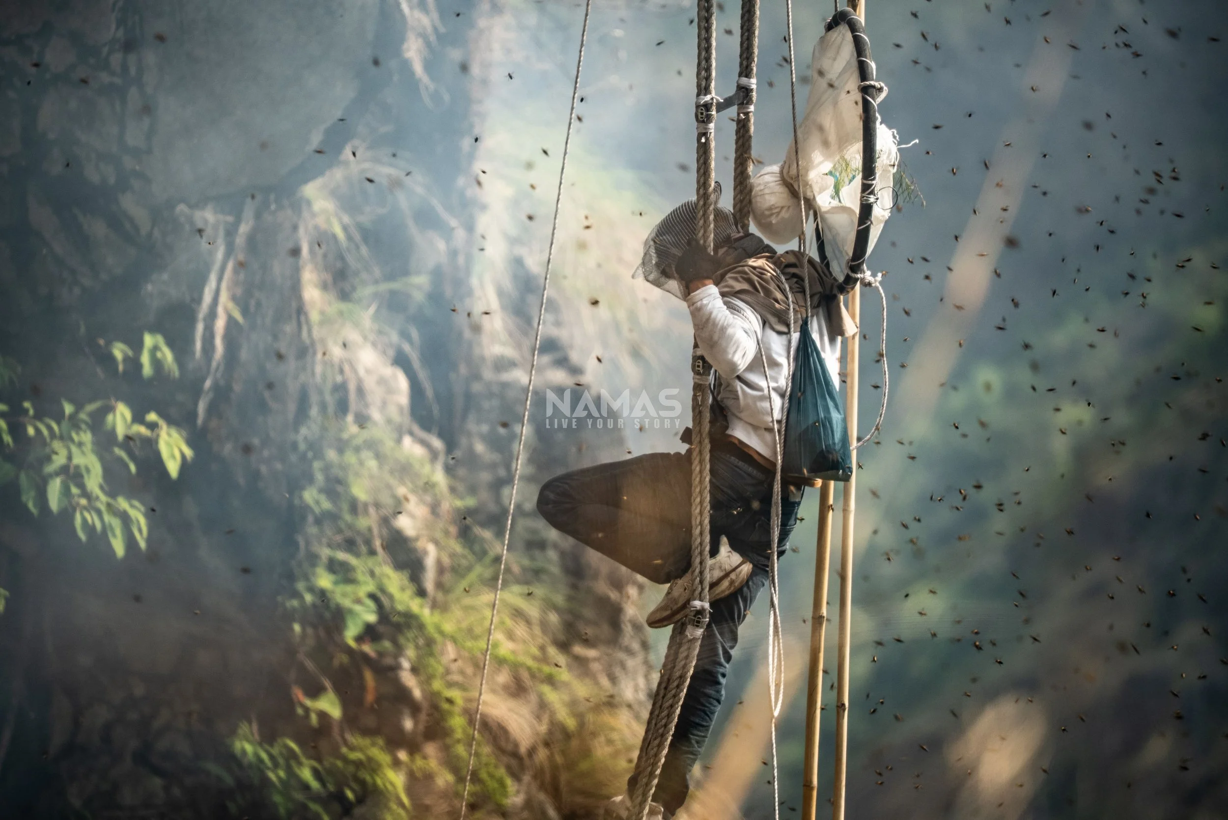 Honey hunter - mad honey experience-36.jpg