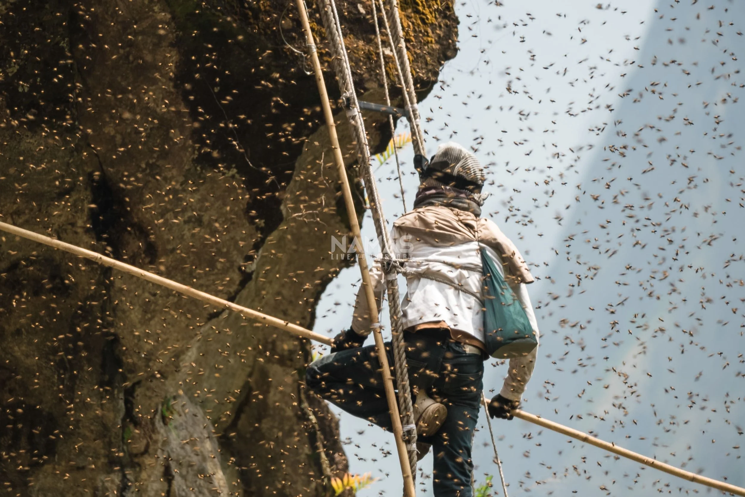 Honey hunter - mad honey experience-14.jpg
