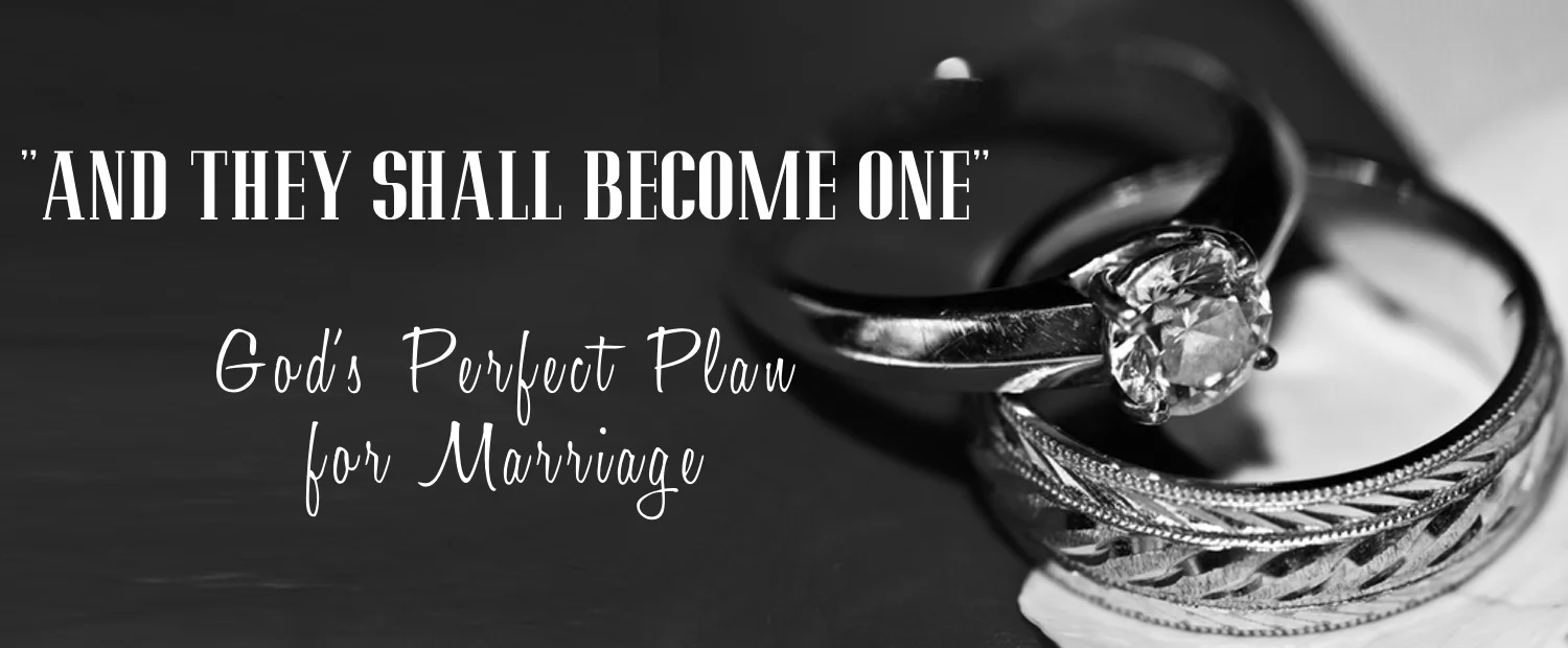 BiblicalMarriage_2015_1500x620_ForAudioPostings.jpg