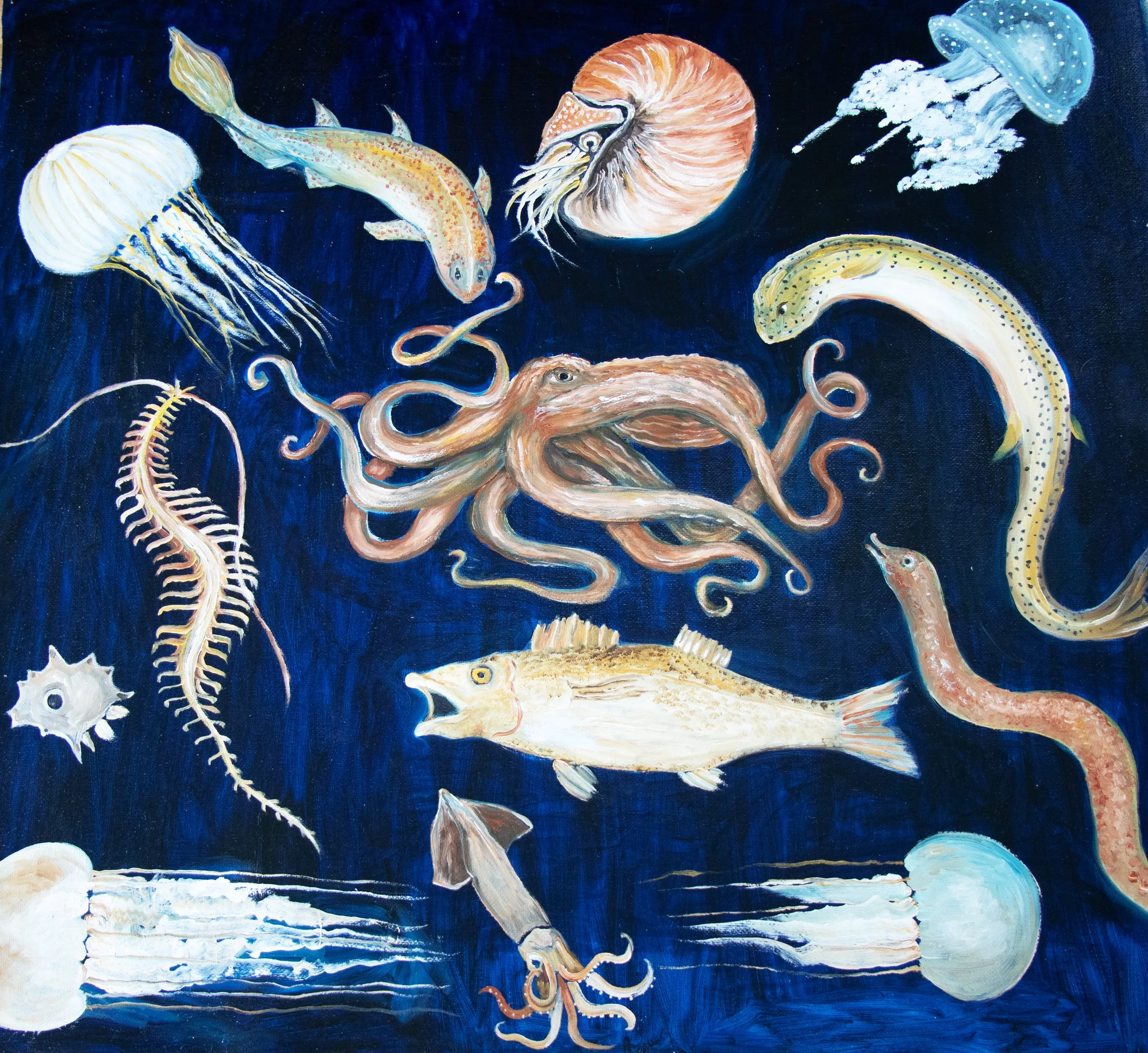 IMG_5594 copy.jpg