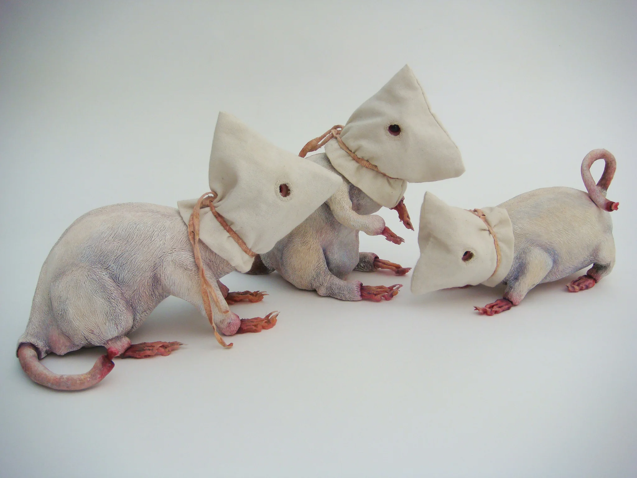 Ik Ben Een Afrikaander travels to Bloemfontein