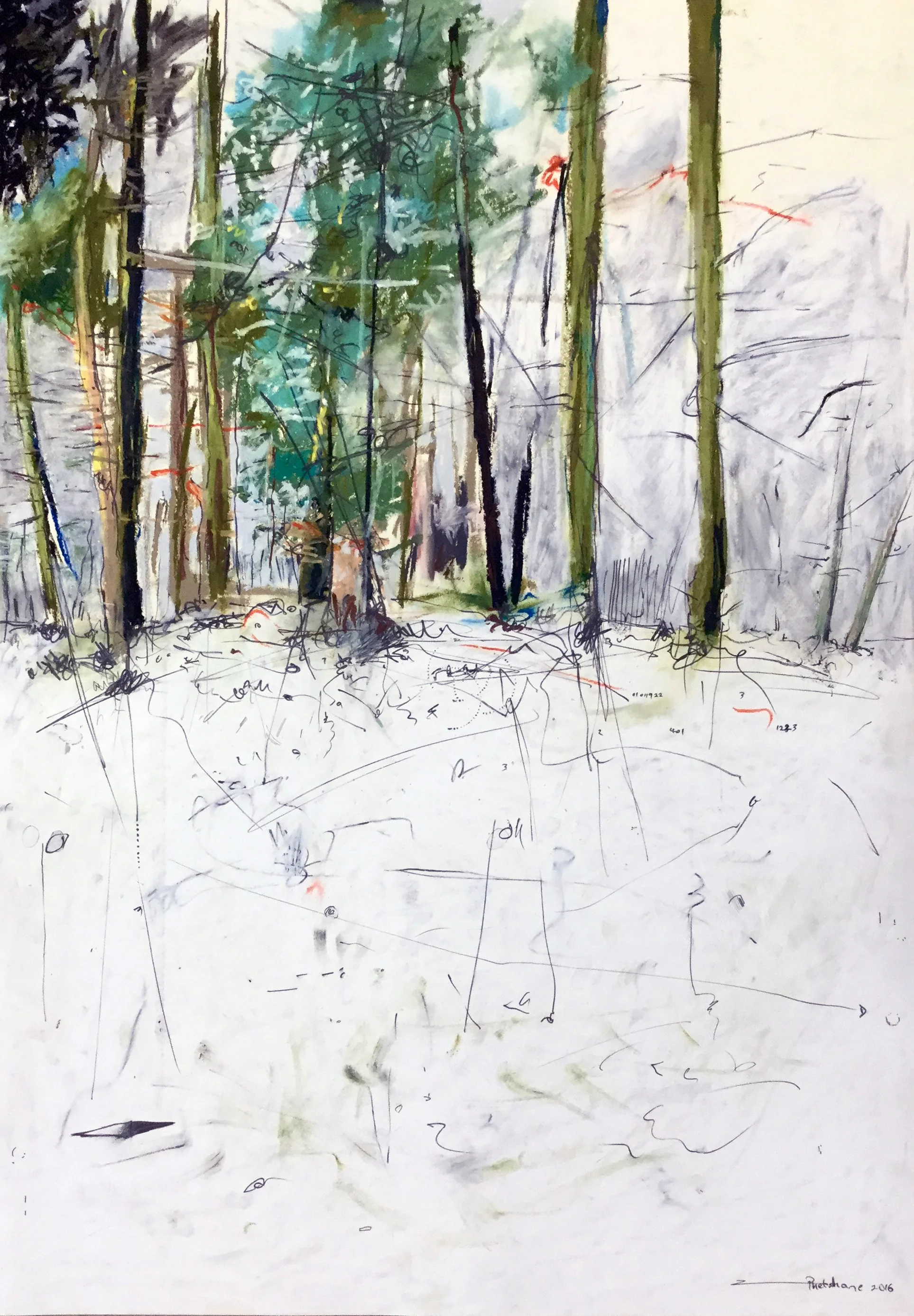 Phetshane invites you to read his journal