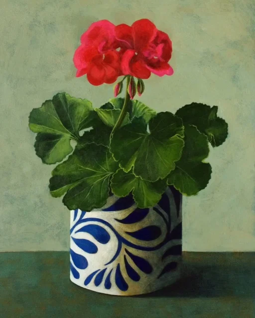 Geranium