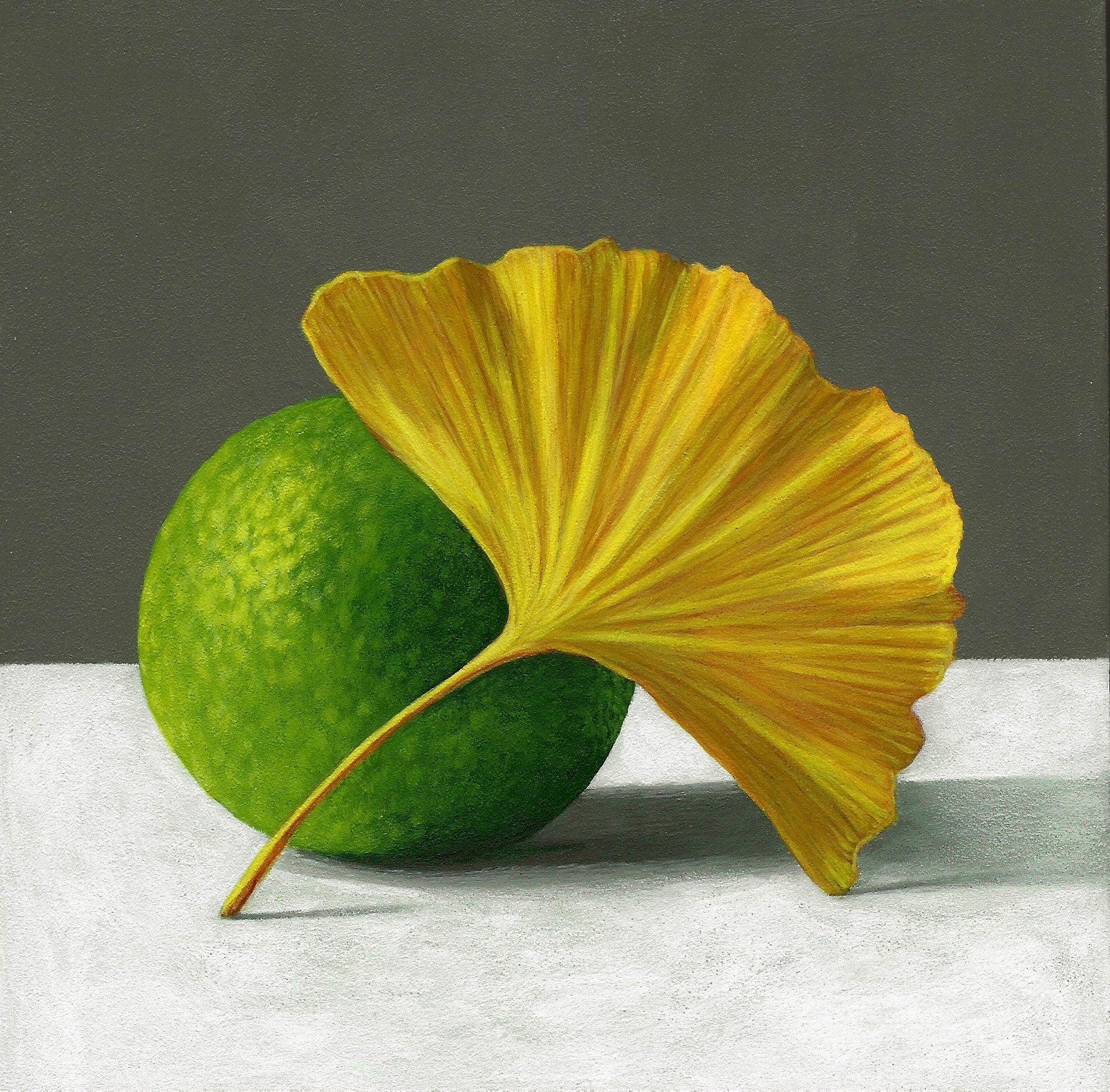 Lime and Ginkgo