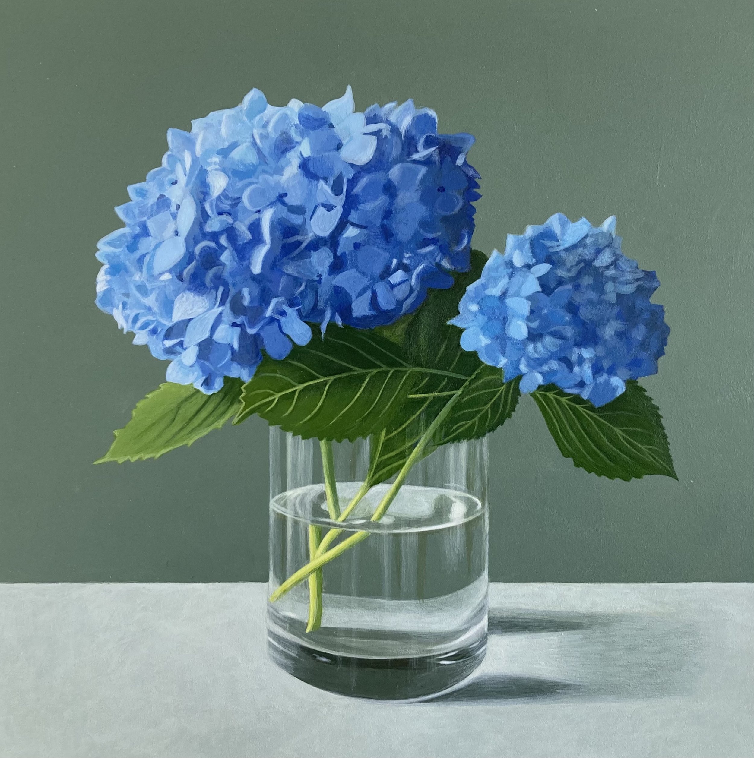 Hydrangeas