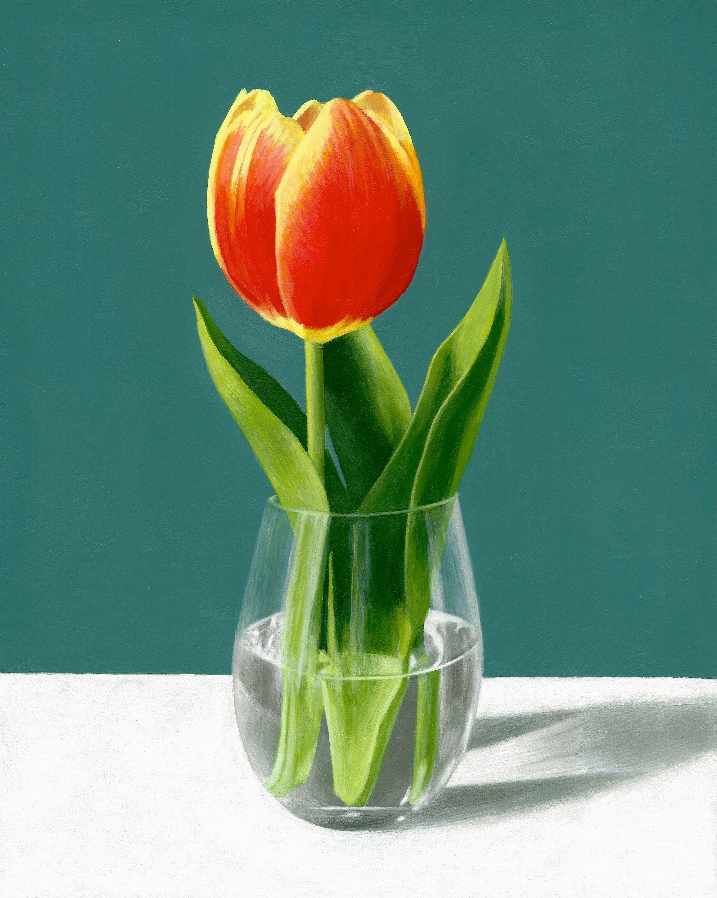 Tulip