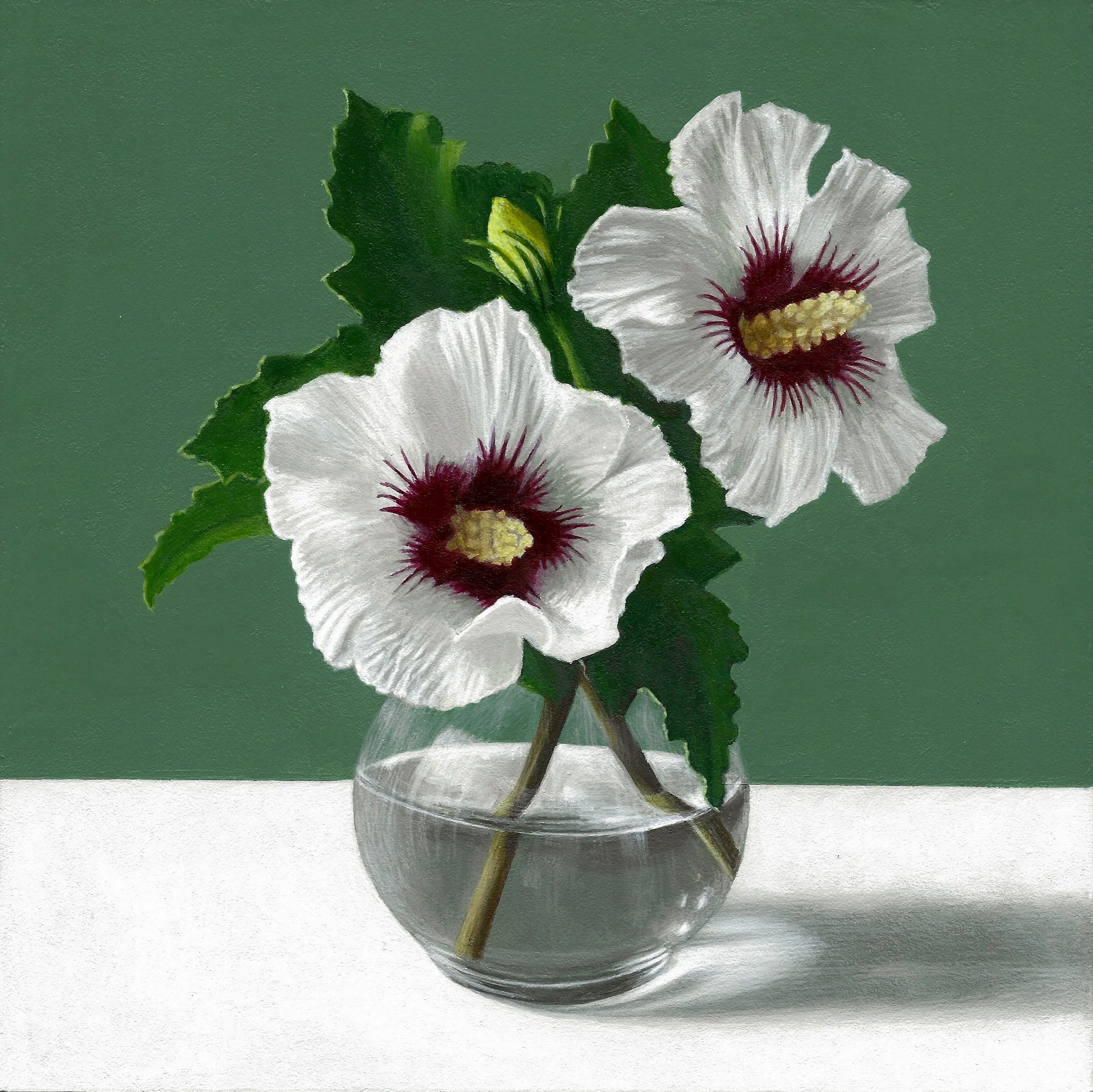 Summer Hibiscus