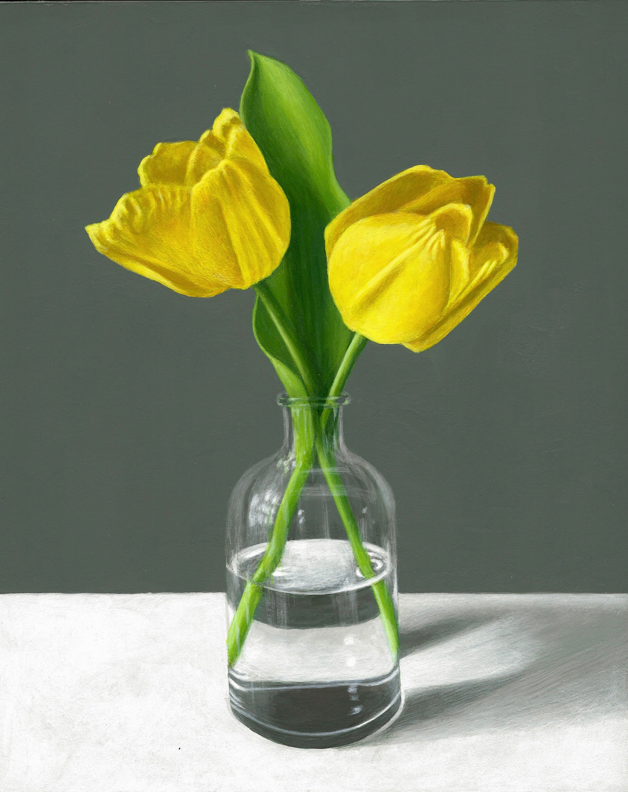 Yellow Tulips