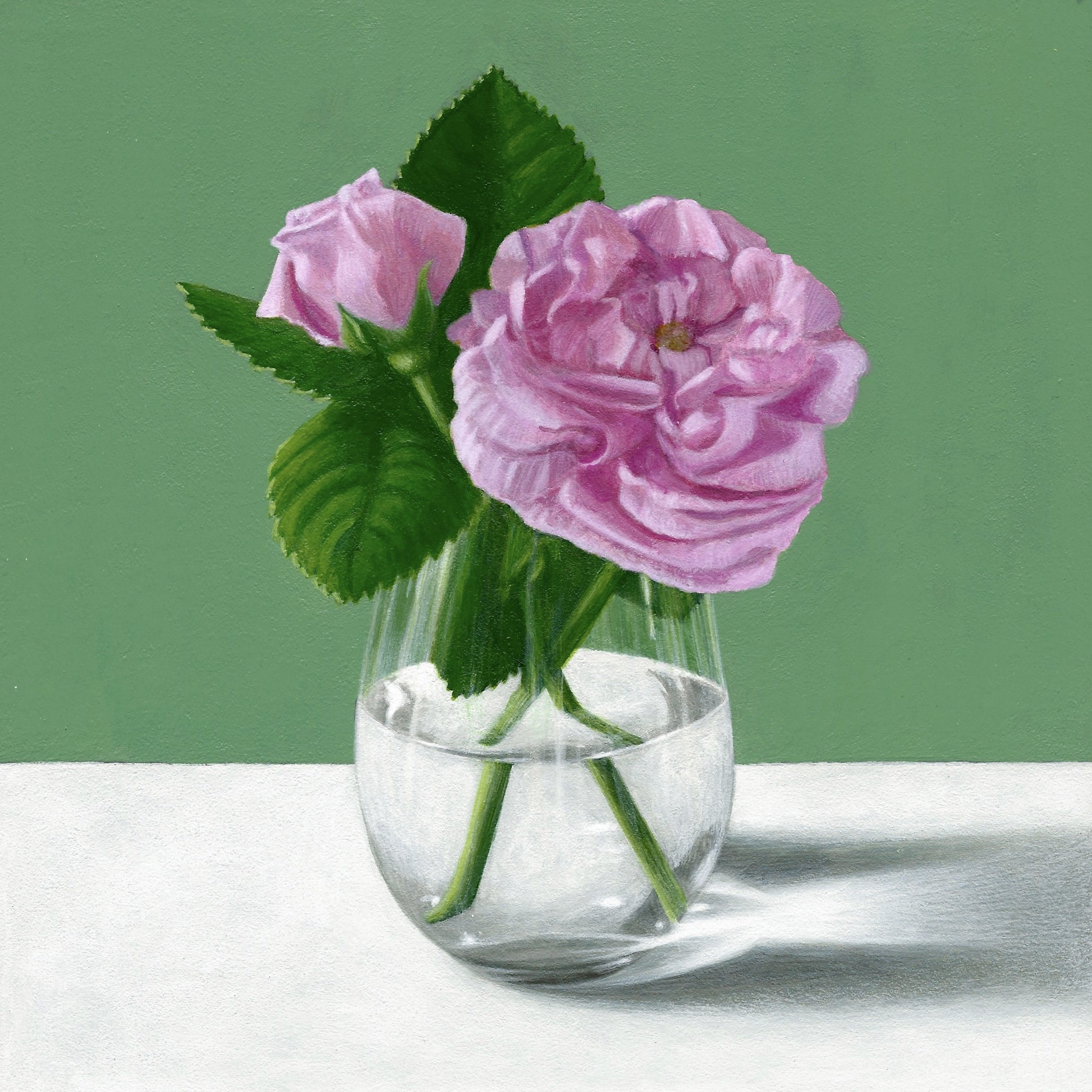 Pink Rose