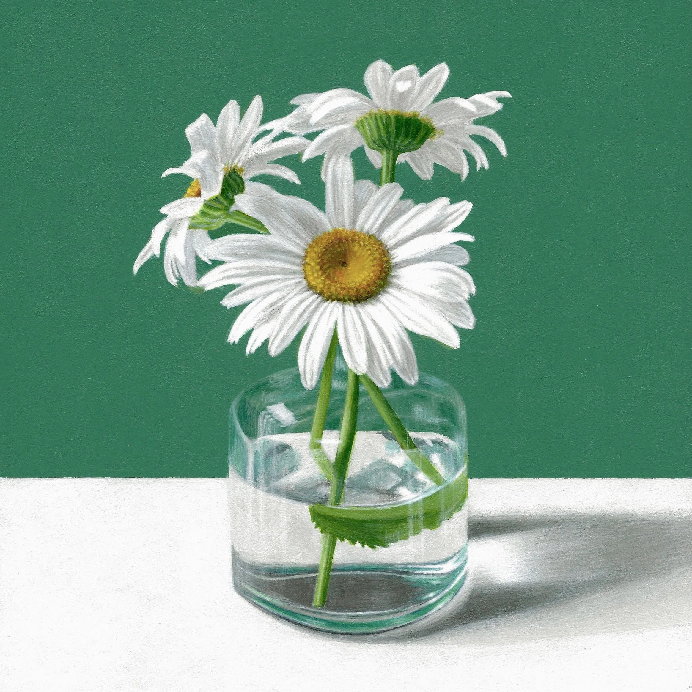 Daisies and Leaf