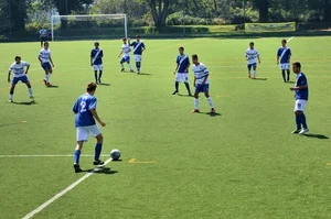 The Importance of Teaching a “Half Touch” Mentality