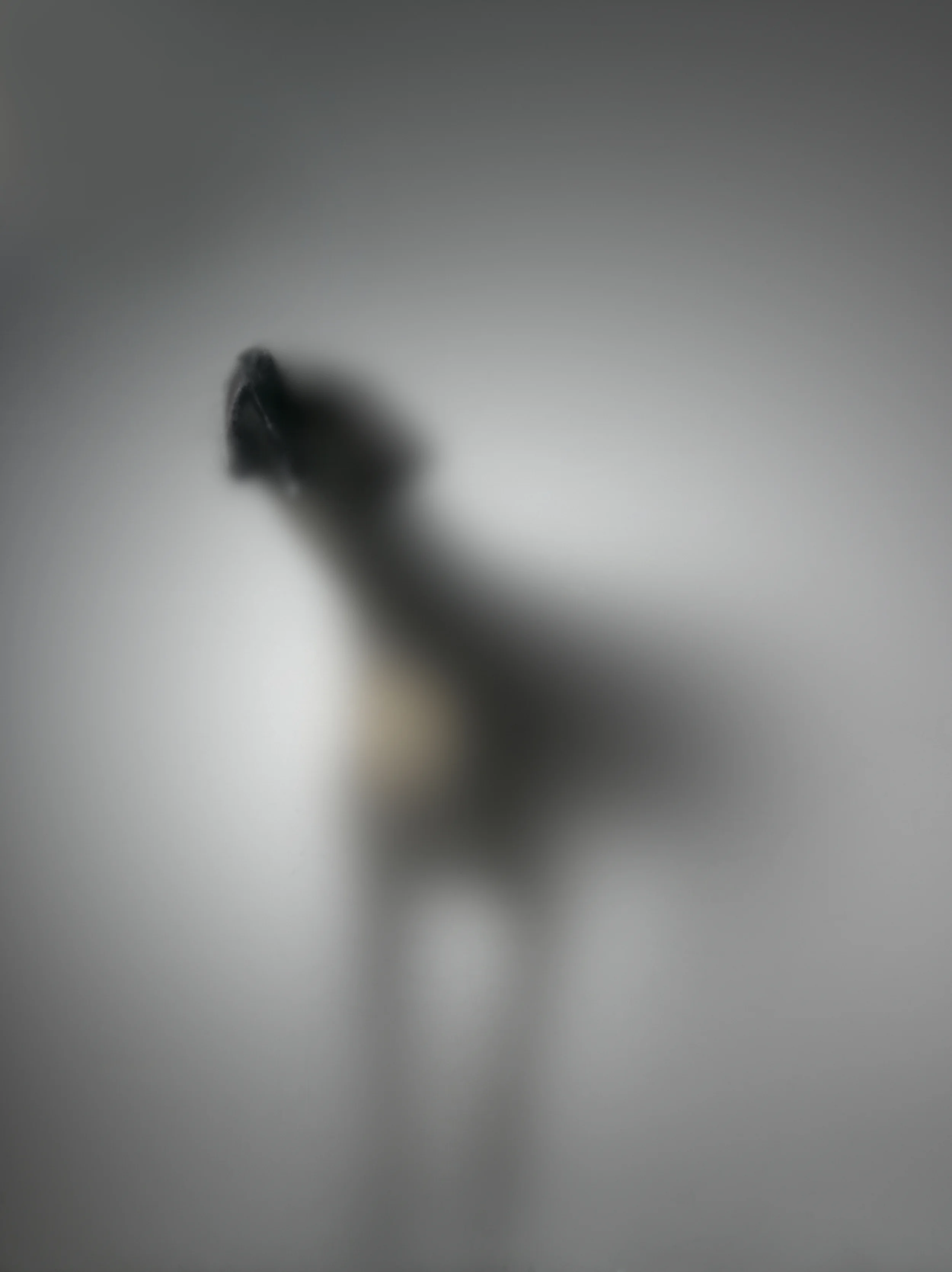 Diffusion_281_no hand.jpg