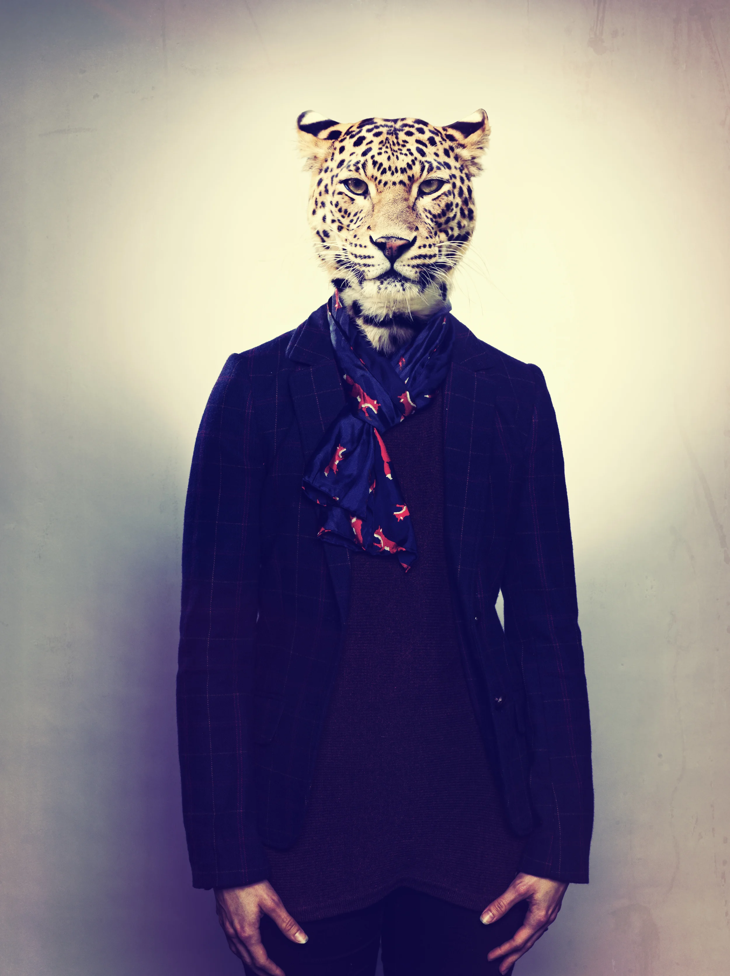 ASIA_ANIMAL_HEAD.jpg