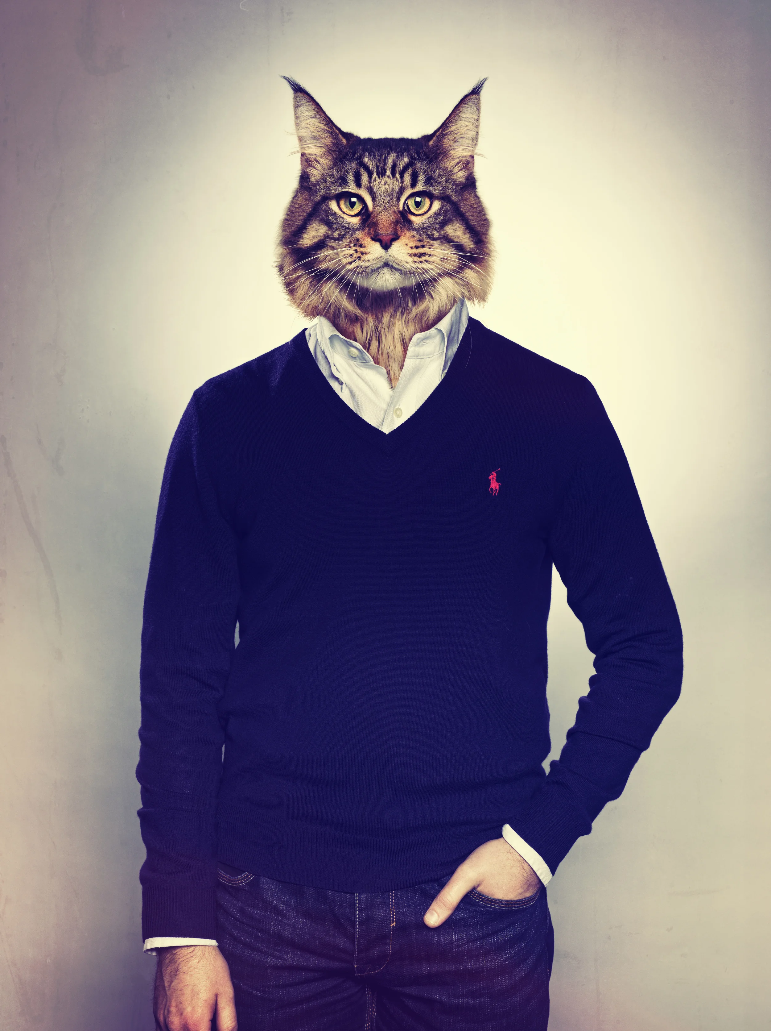 CHRIS_ANIMAL_HEAD.jpg