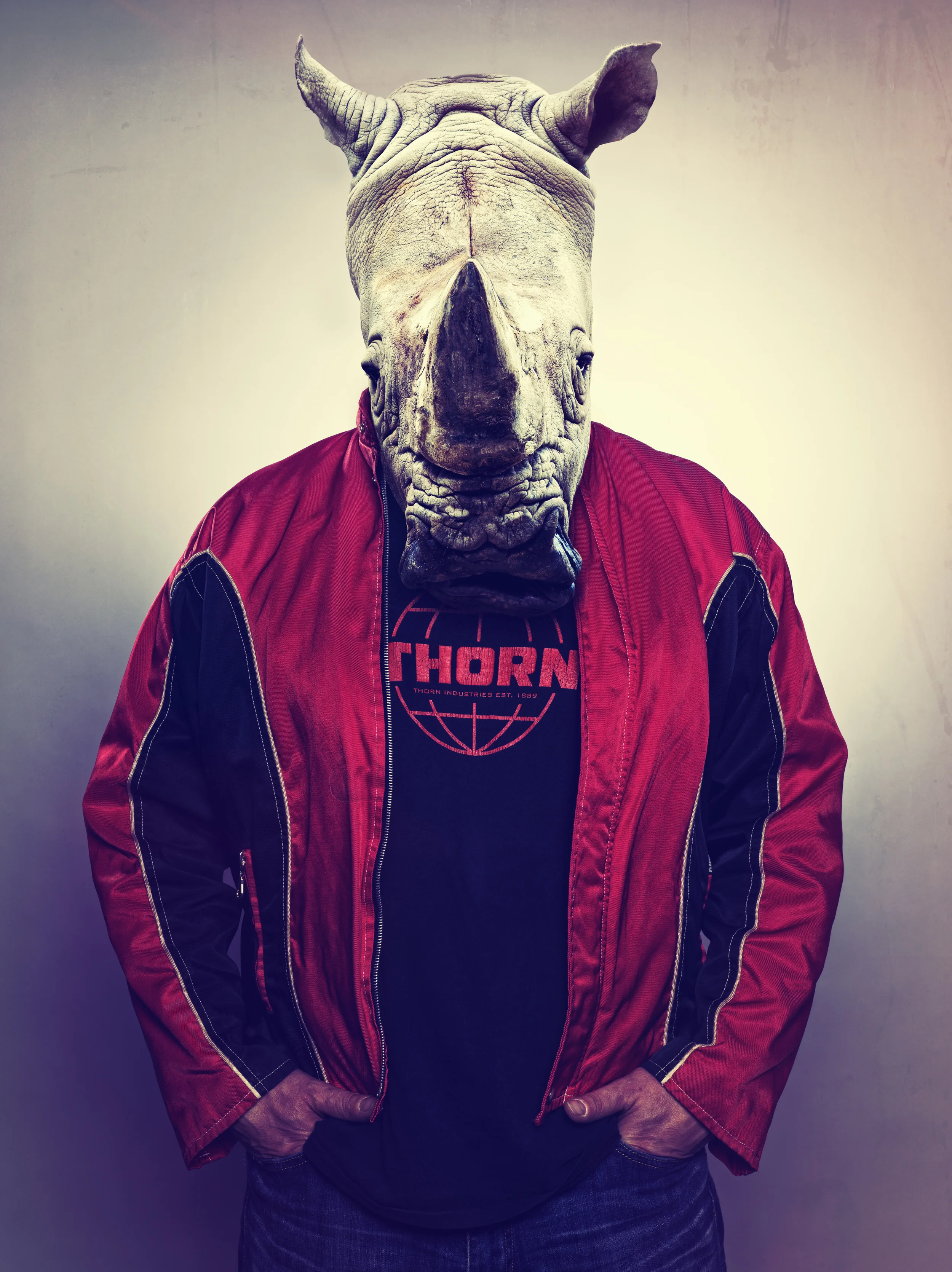 DARREN_ANIMAL_HEAD.jpg