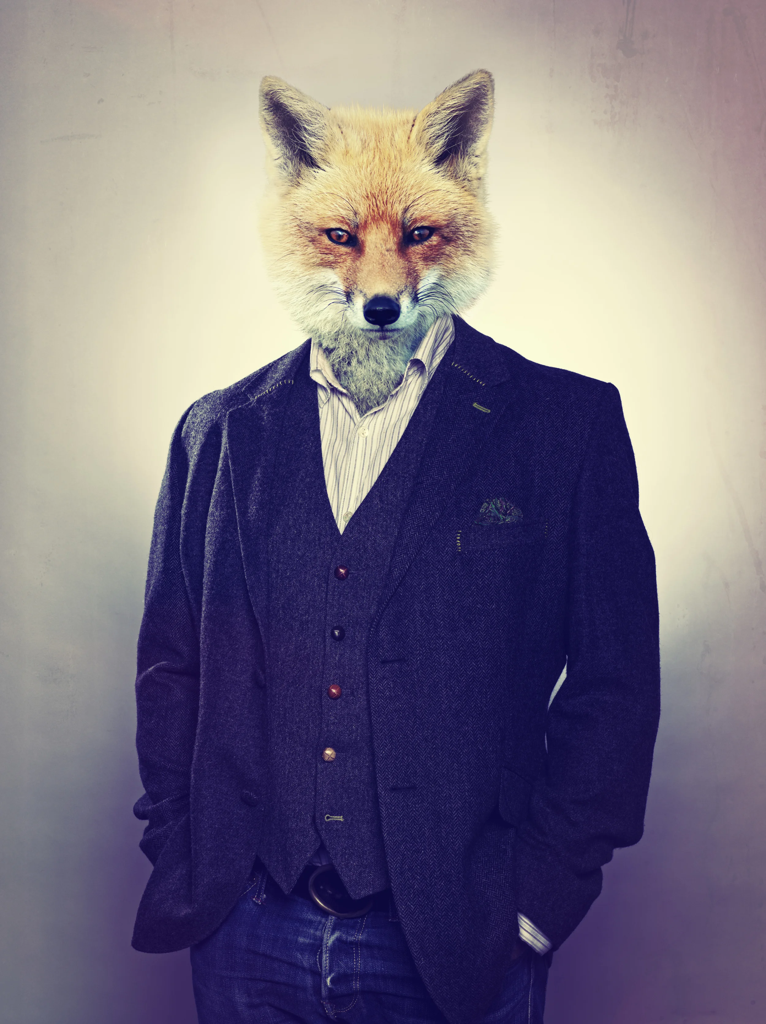 FOX_ANIMAL_HEAD.jpg