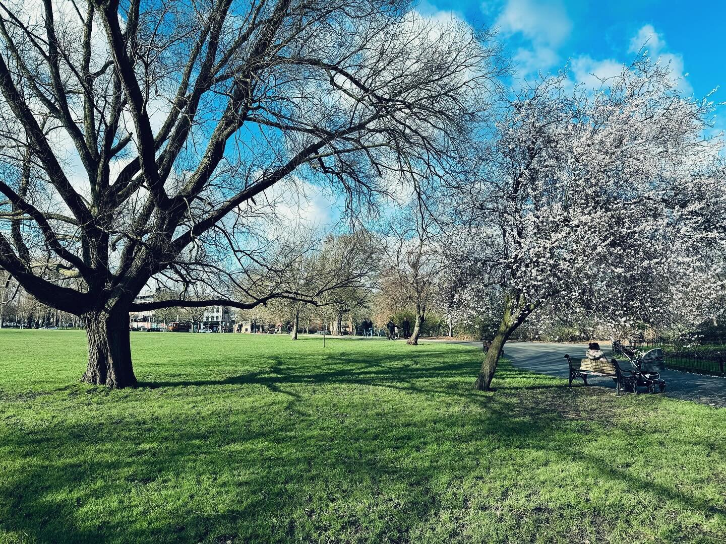 Clissold Park this morning