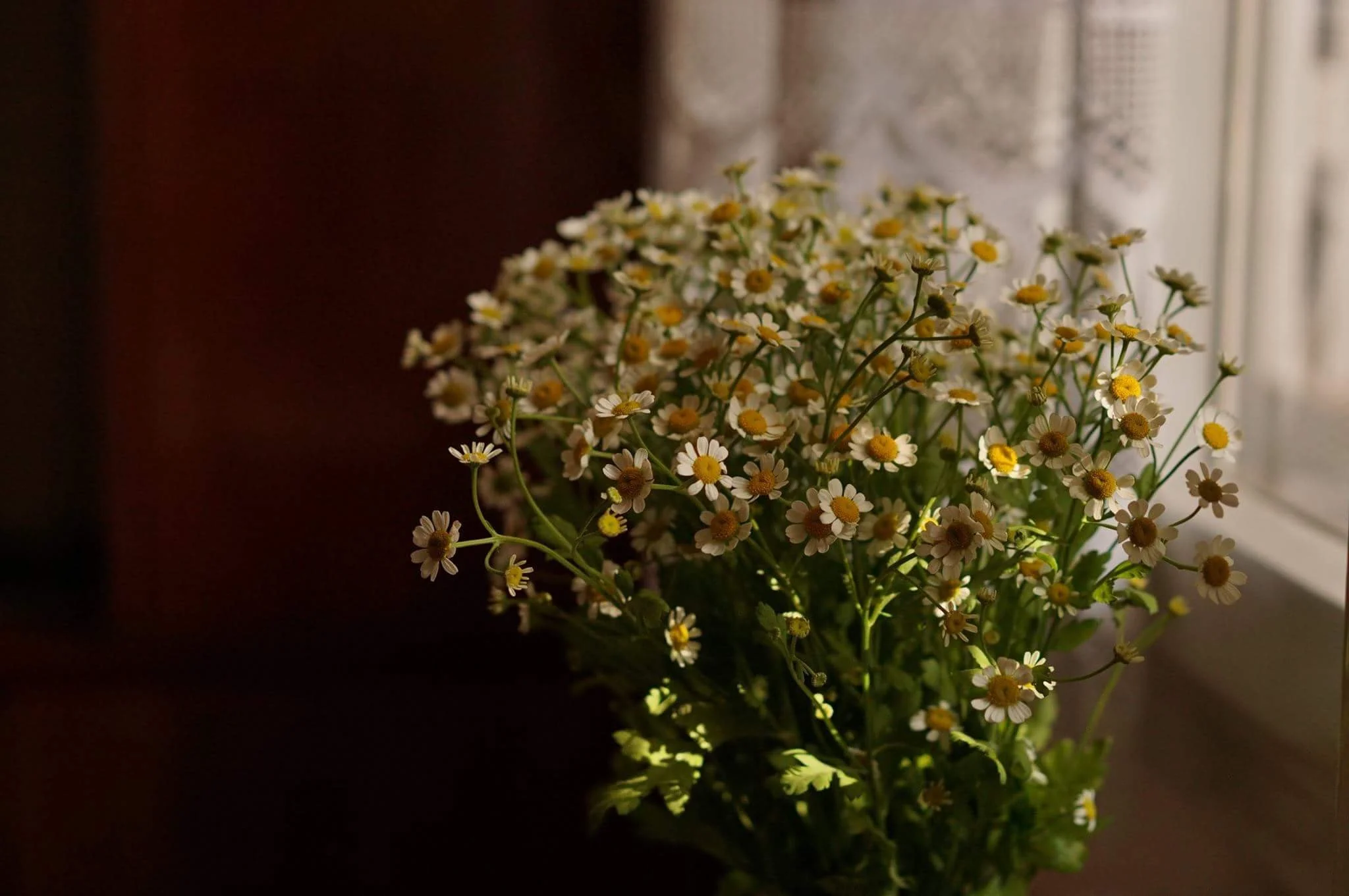 Recital avec Sasha Verner (sopran)