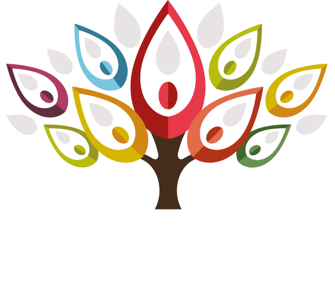 Dr. Carlos Nemes — Geriatra e Cardiologista, São Paulo (SP)