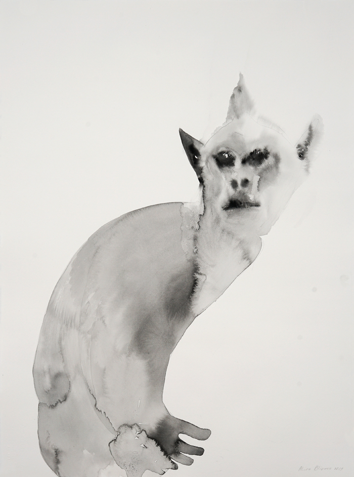 Bliumis_Nature-of-Nations_BarbaryApe_Gibraltar.jpg