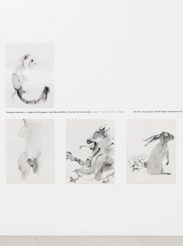 Alina Bliumis, On The Land Of Eagles, Galerie Anne de Villepoix, Paris, France, 2019