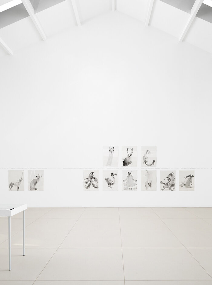 Alina Bliumis, On The Land Of Eagles, Galerie Anne de Villepoix, Paris, France, 2019