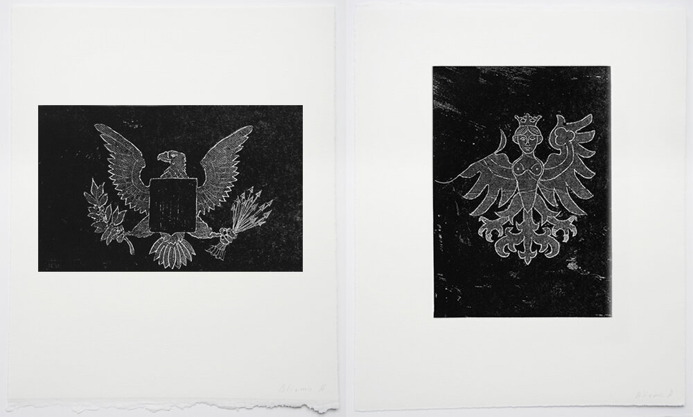   Amateur Bird Watching at Passport Control,  2016-2017, series of 43 works, relief etching on paper, 12 x 9 in, unique 