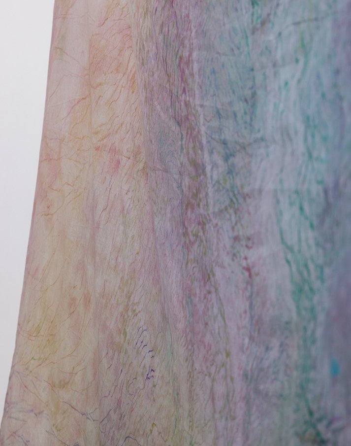  Installation view, Alina Bliumis,  Imagination Nation , Elma, NY;   Bruise Series , 2021, watercolor on printed linen, 147 x 112 inches, detail, photo by Ege Okal 